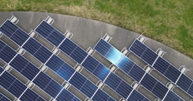 Paneles solares vistos desde arriba en un terreno verde; imagen de archivo, no representa los datos de autoconsumo de Cataluña